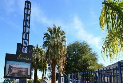 Antique Shopping in Downtown Las Vegas: Where to Find Vintage Treasures